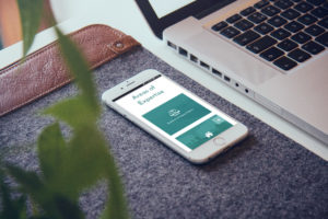 Giant Elk Creative Agency Ferrys Solicitors Mobile Optimised Website Dublin